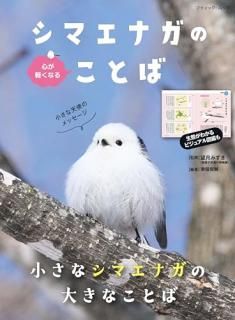 ���ޥ��ʥ��Τ��Ȥ�