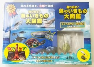 ���ӽФ������Τ��������޴ա�����٥���������ߥ���ե����奢�դ� : �ꥢ��ʳ�������ʪ���������ӽФ��������Ի׵Ĥ򡢸޴����θ���