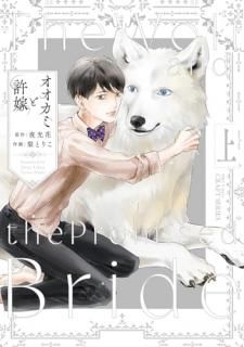 �������ߤȵ��ǡ���