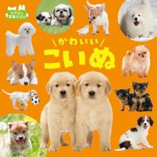 ���襤��������