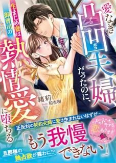 �����ȥ�̤�� ��˳�ʸ���Ū�ҥ���������ۼ���θ���ʥҡ�����  �� 