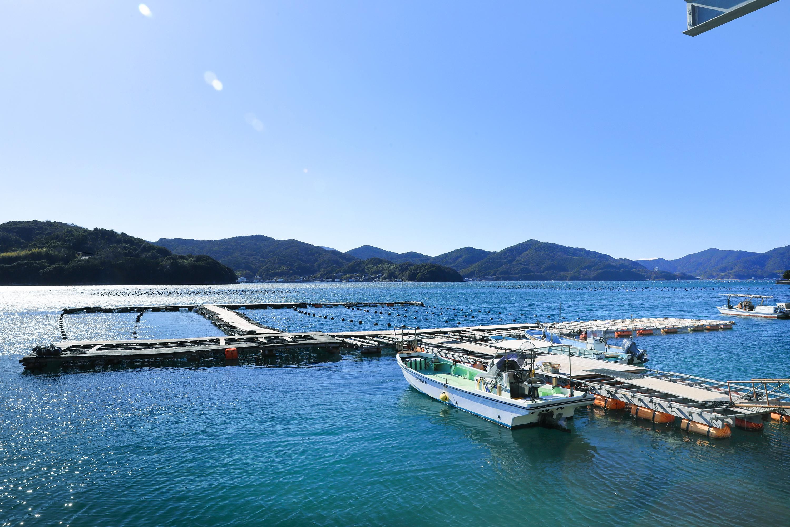 ���ڤˤȤä�����Ū�ʡ�˭���ʳ��׸�����