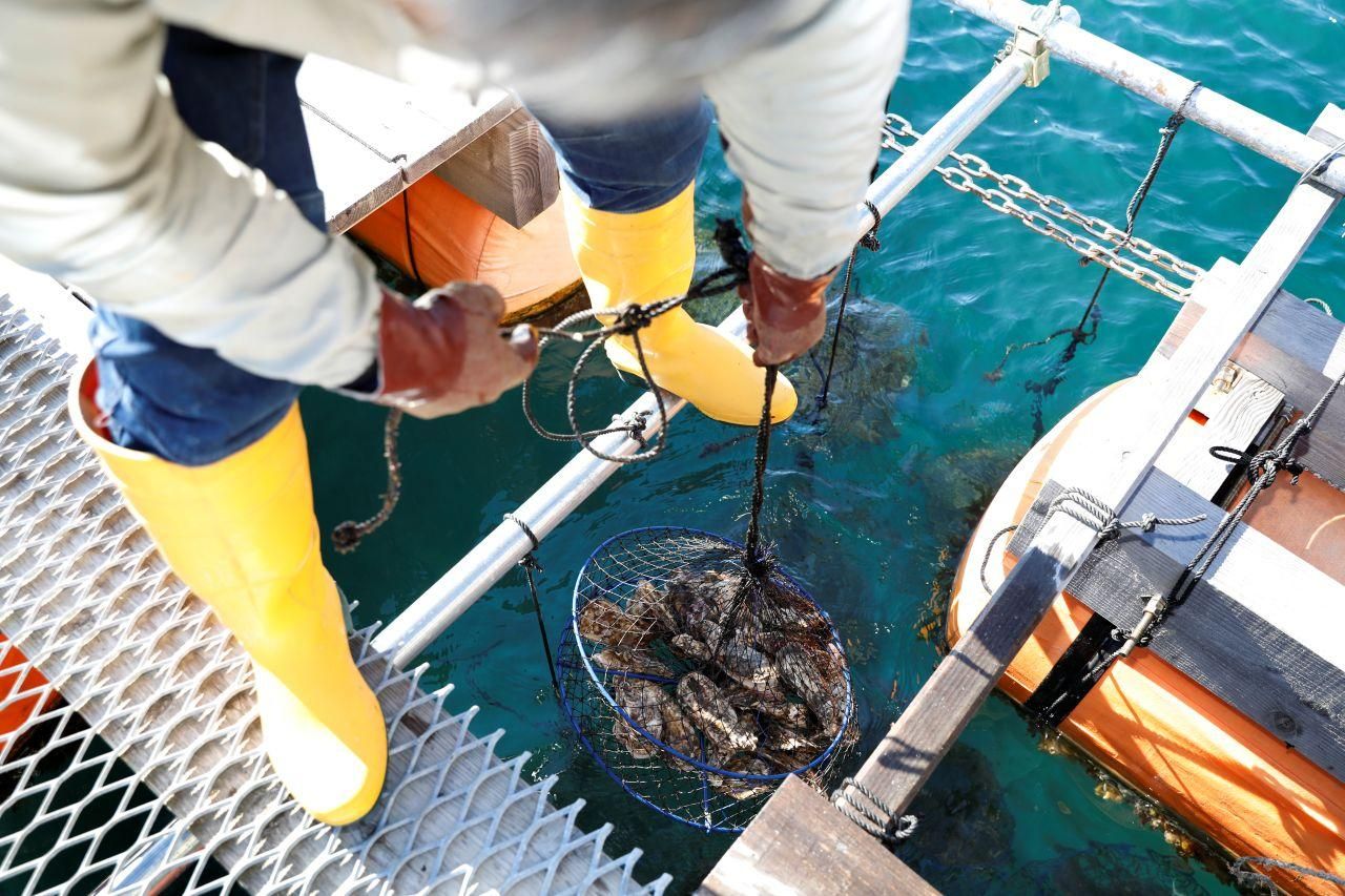 ��þ���Ǥϡ��¿����Ƥ������夬�ꤤ�������ޤ�