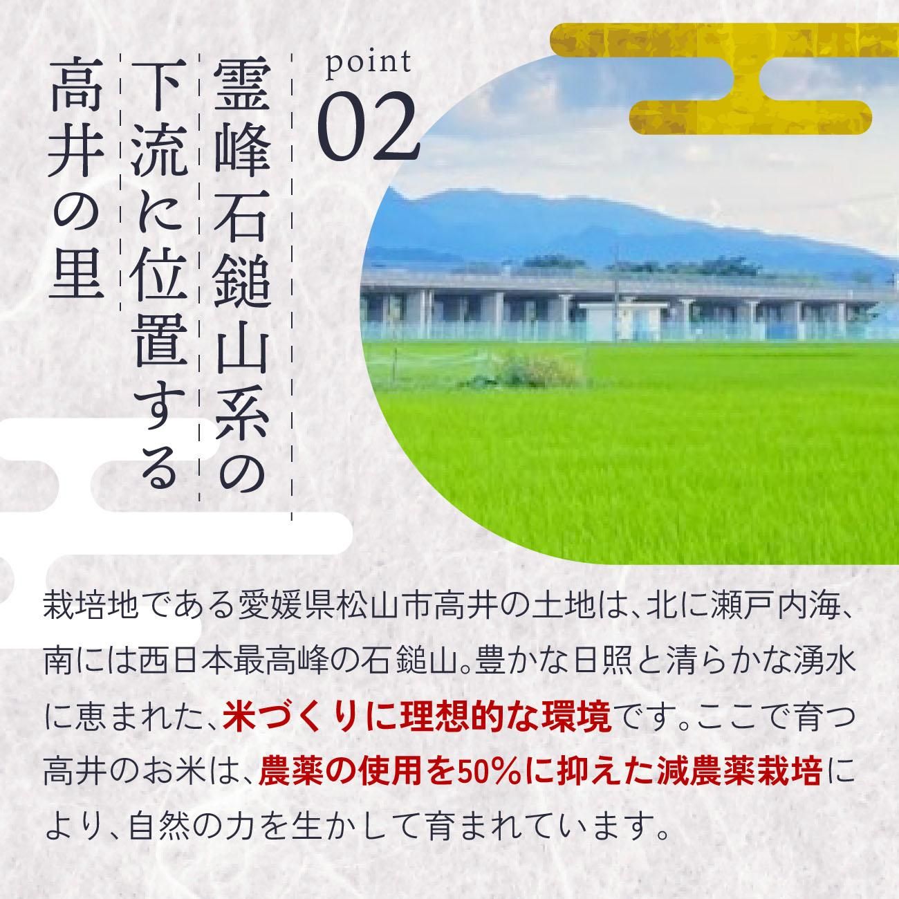 農薬の使用を50%に抑えた減農薬栽培により、自然の力を生かして育まれています。