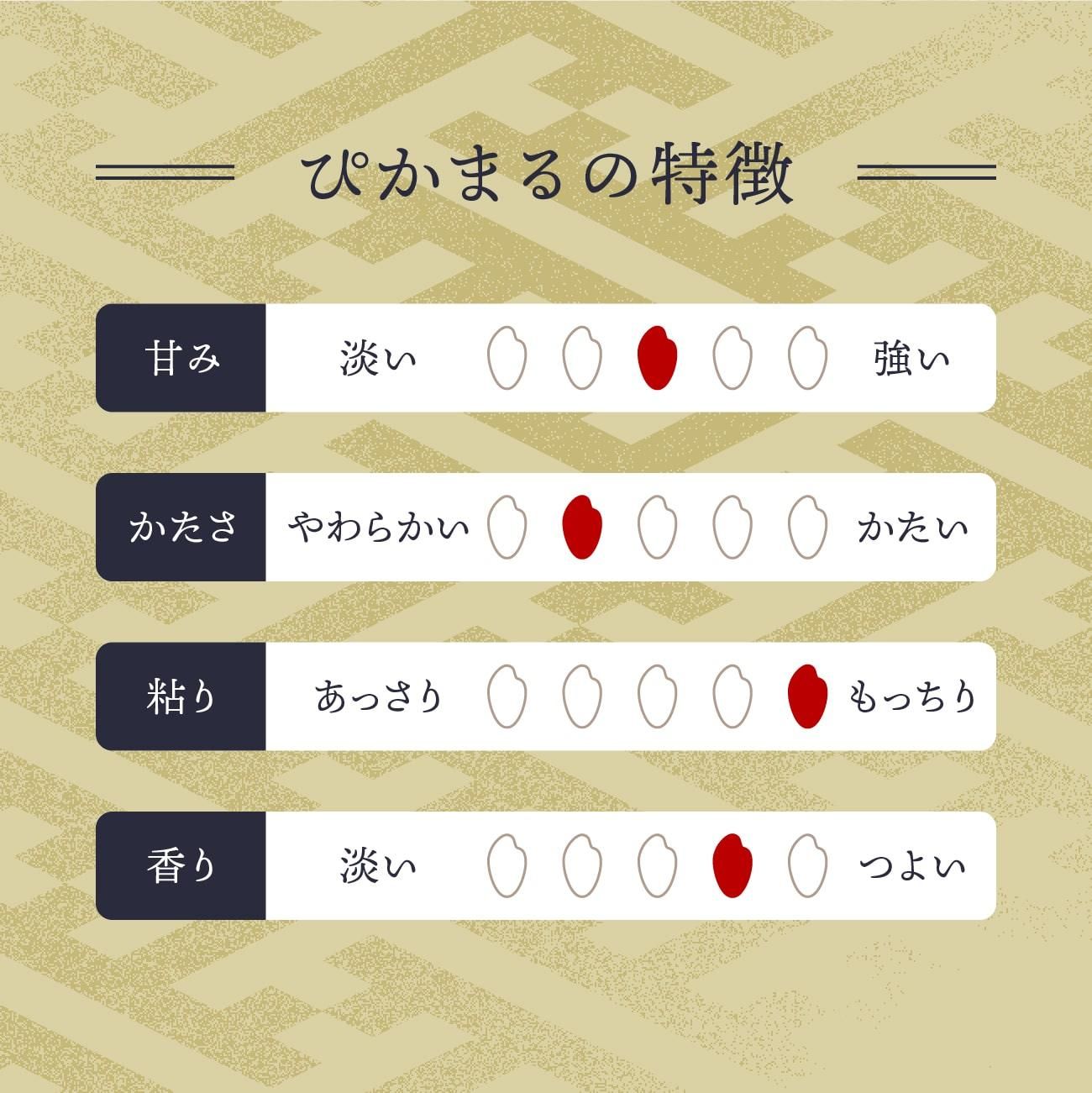 ぴかまるの特徴