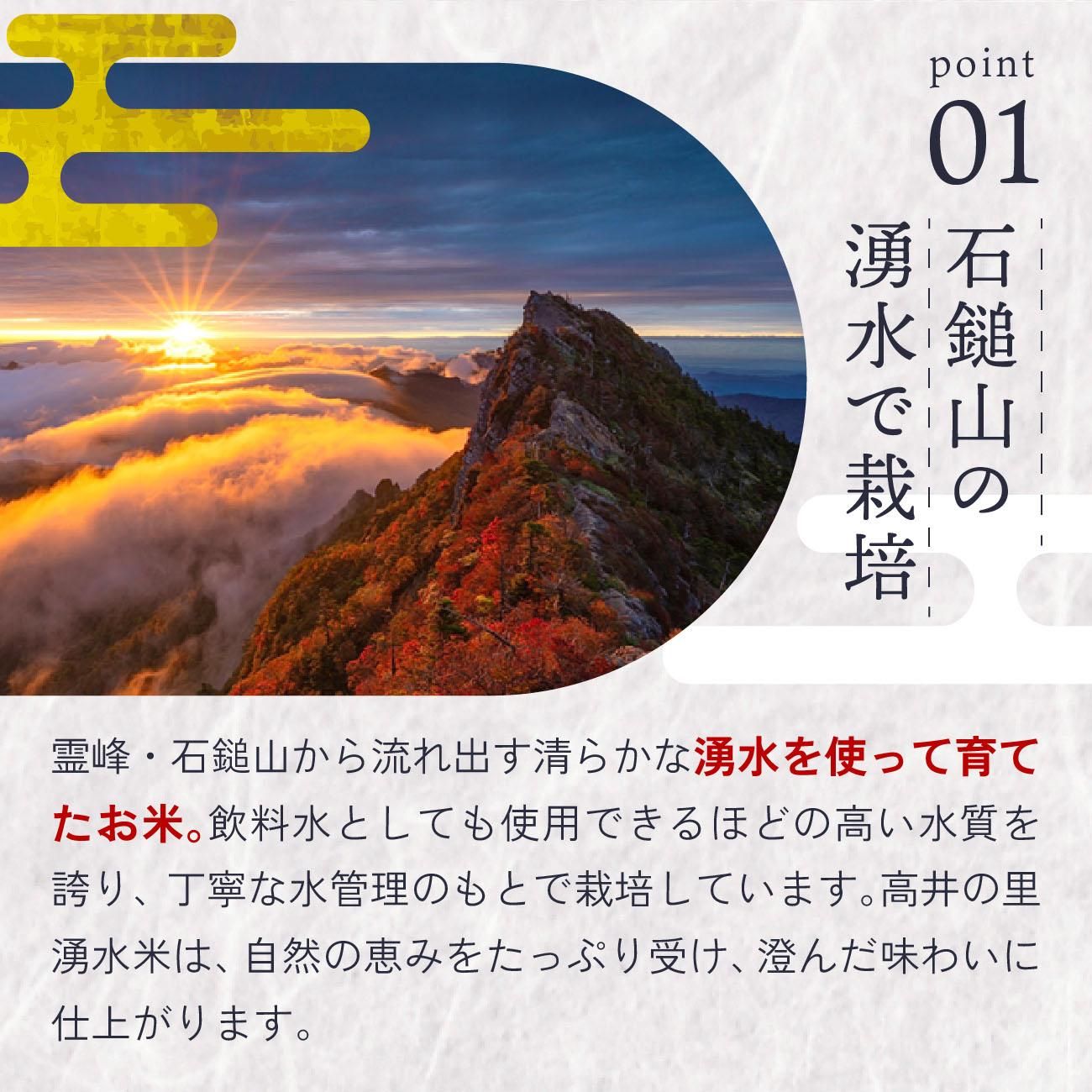 石鎚山から流れ出す清らかな湧水を使って育てたお米。