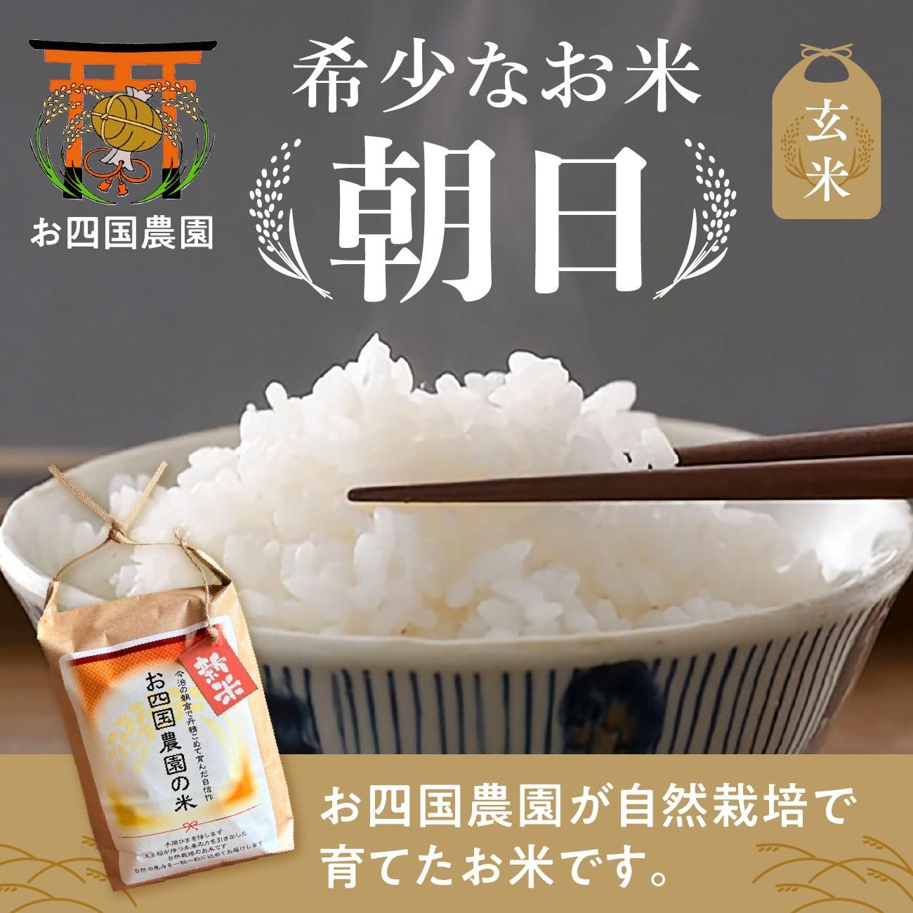 100ǯʾڤ˼ѤƤΤơī