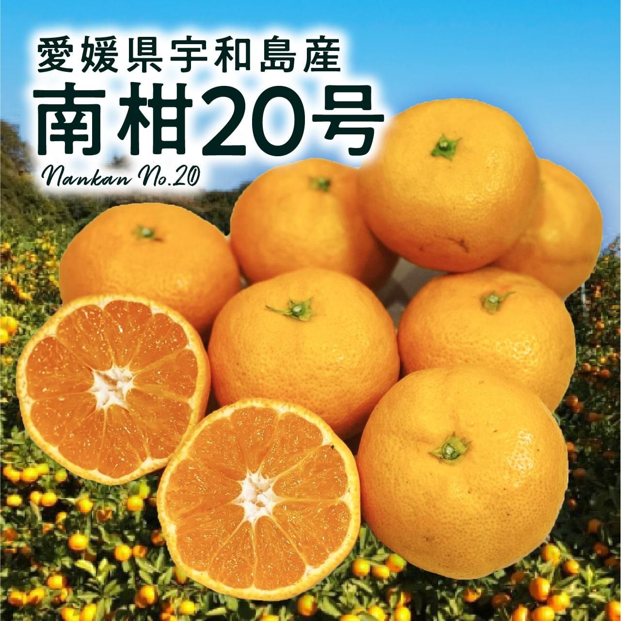 ̵۰ɲ 绺 20ߤ 3kg10kg ѡ12ܰʹȯ