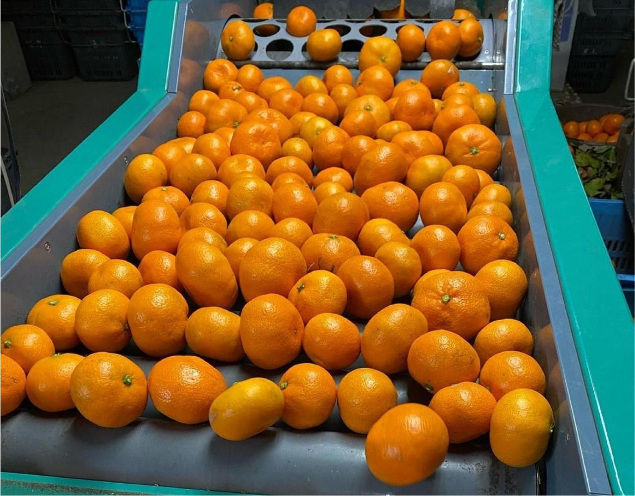 Լա۰ɲ 绺 ߤ ٤륷꡼ 3kg5kg10kg ѡ11ܤͽ