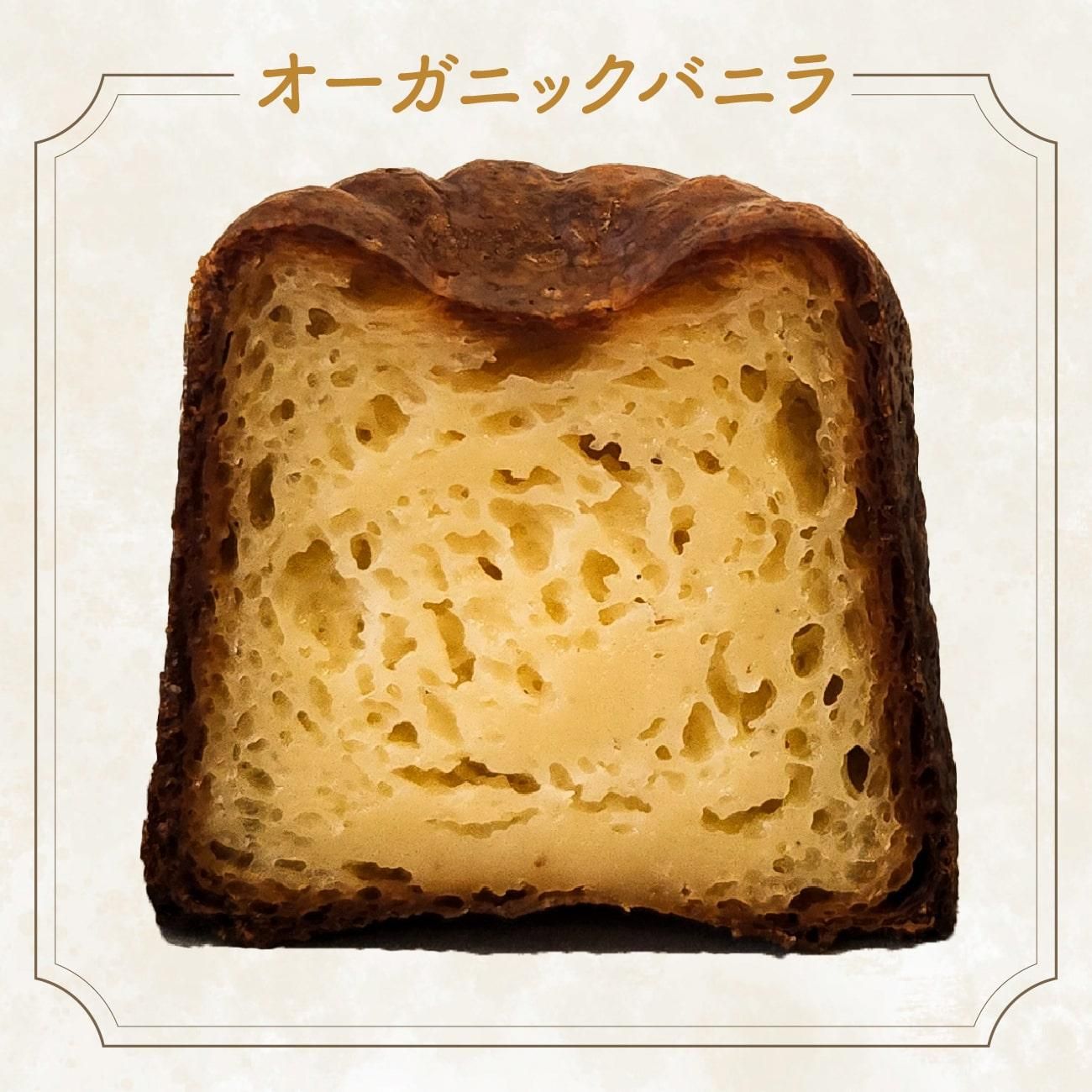 Х˥ȥι꤬դäȹ롢֤Υץ졼󥫥̥