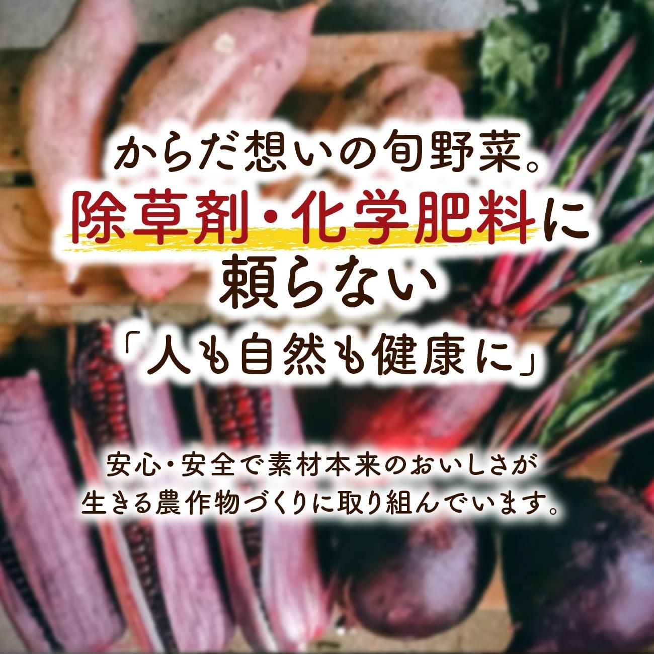 �¿����������Ǻ�����Τ�������������������ʪ