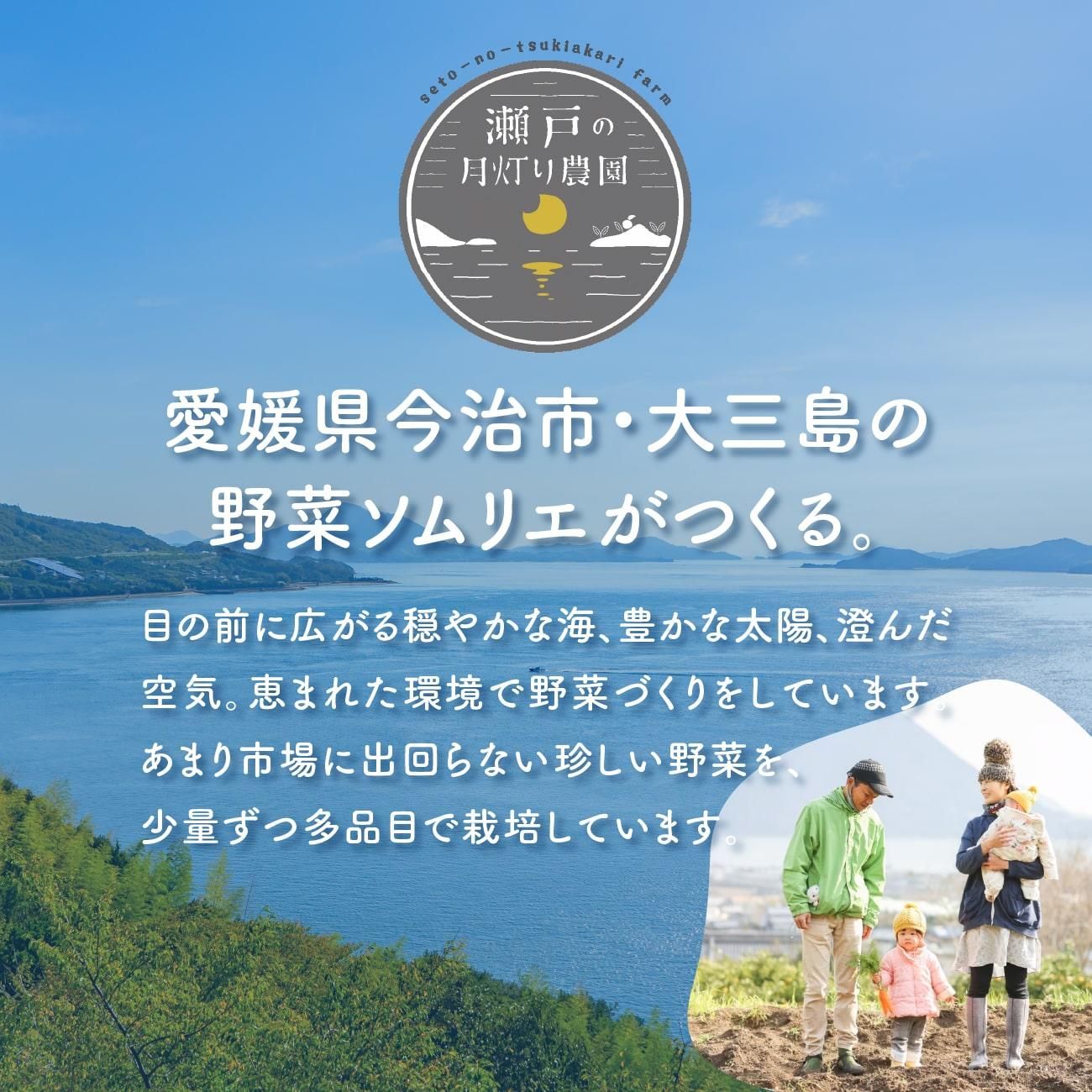 ��ɲ���������绰�����ڥ���ꥨ�����ͤη���������