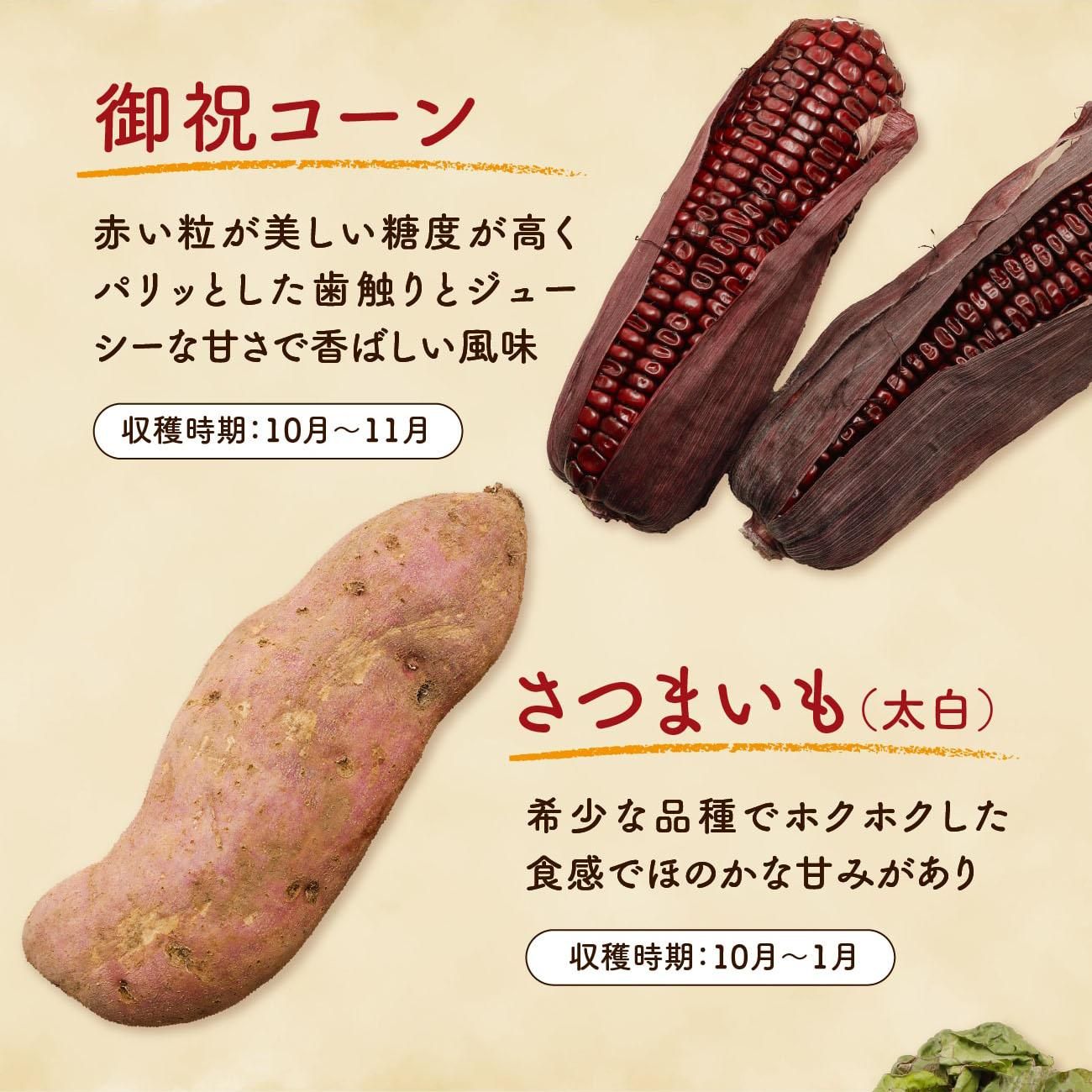 ��˥����󡢤��Ĥޤ���