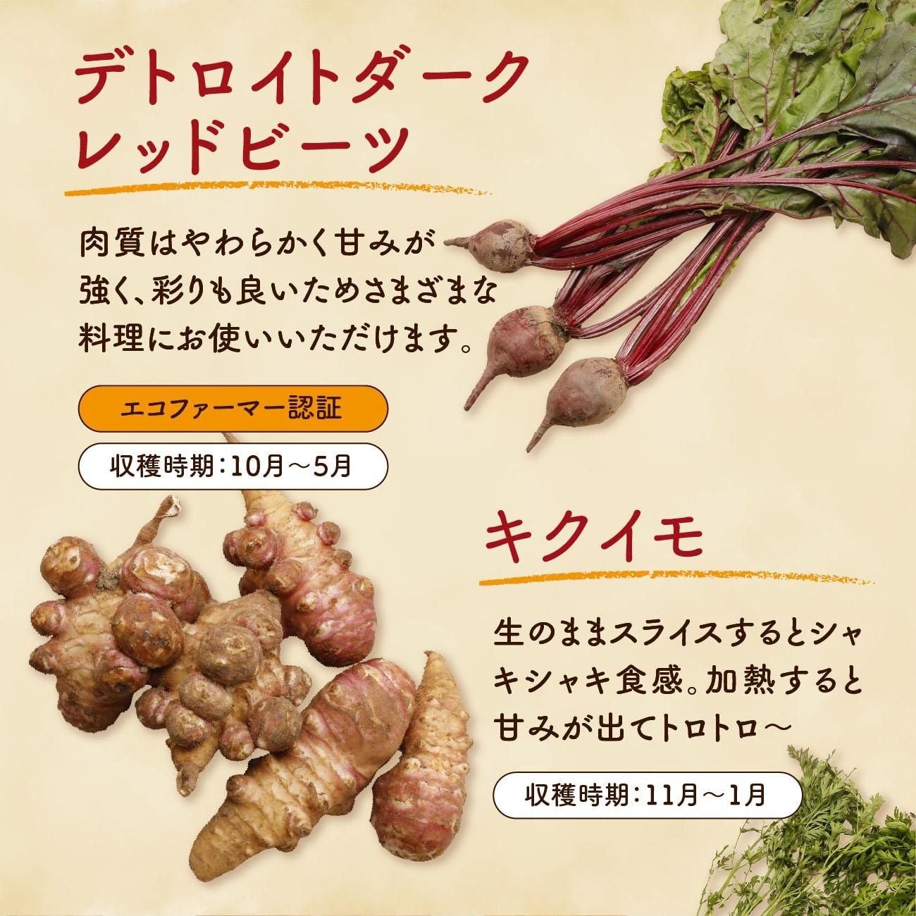 �ǥȥ����ȥ�������åɥӡ��ġ���������