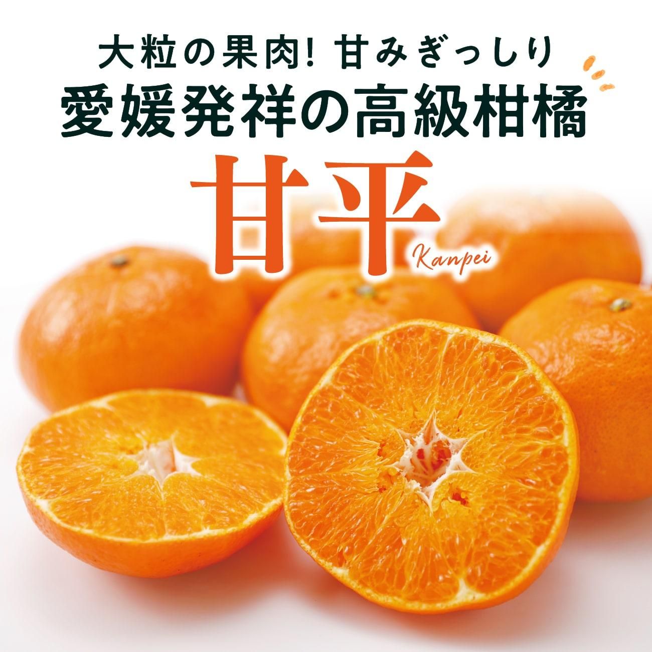 ��γ�β�������ʿ