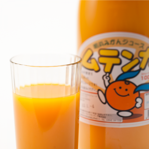 ͤߤ󥸥塼إƥ󥫡720ml x 6äϤޥɥѡ ߤ ̵ź ե
