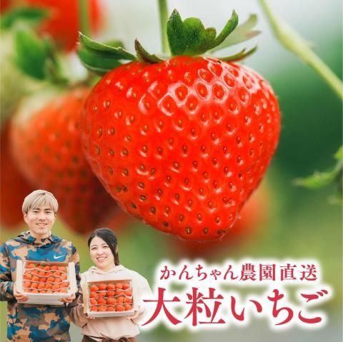 ڻľīΤ걧¤ ٤륷꡼ 1Ȣ2Ȣ γ 11ܤ缡ȯۡðɲ ͽԻ    ʪ £ʪ 