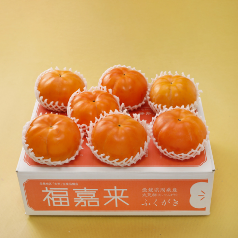  ڽʡ۰ɲ ŷ ʡ դ 3kg 11〜缡ȯ ɲ  