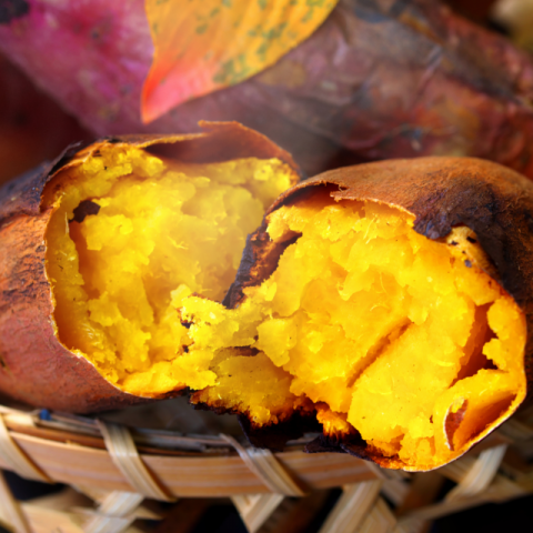 륯ȡ 3kg11ܡȯۡÿ͵ʼ Ϻ ľ ɲ Į ĥޥ Ƥ 餫  ⤤ īΤ ŷפ  ̵