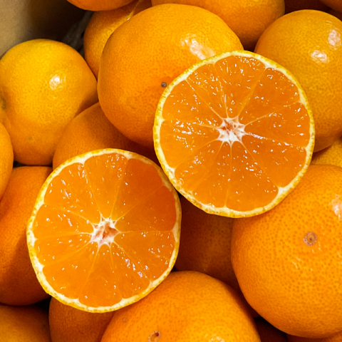 Լա۰ɲ 绺 ߤ ٤륷꡼ 3kg 5kg 10kg ѡ11ܤͽۡMOURI FARM ɲߤ ߤ ߤ  ߥ ʪ