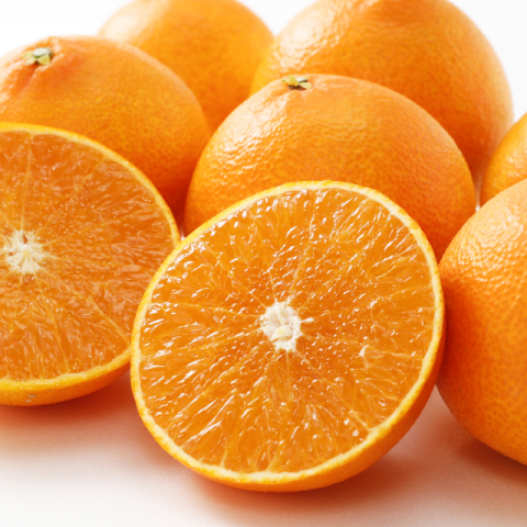 Τޤɤ 3kg12ܤȯۡóε ɲ  ߤ ̪ 28 Ȥޤɤ   ľ ָ £  ߥե £ʪ ץ쥼