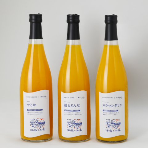 ̥塼 720ml3ܡóε ɲ  ߤ ̪    ̵ź ľ ָ £  ߥե £ʪ ץ쥼