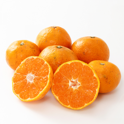 ڲѡ۰ɲ ߤ5kg10kg 12ܤ缡ȯۡ ı ɲ ̨  