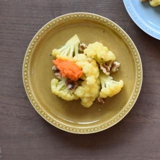 大井寛史 - 暮らすうつわ とうもん