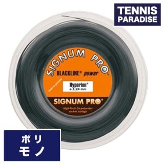 SIGNUM PRO/シグナムプロ - TENNIS PARADISE