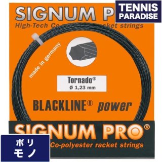 SIGNUM PRO トルネード117・123 / TORNADO 117・123 シグナムプロ テニスガット 単張りガット(12m) (SIG-TND) グレーブラック