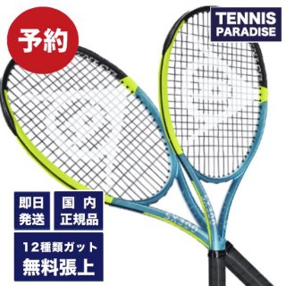 0111()ȯͽꡪ2025 DUNLOP å ƥ˥饱å SX300 (DS22501) ٤12Υӥåȡ