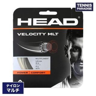 HEAD إå ƥ˥å ʥ ٥ƥޥ125 / VELOCITY MLT 125 (281404) ʥ륫顼