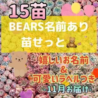 ᤷ̾15Ĥ