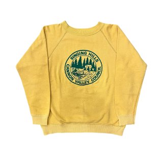 1970s~ vintage crew neck sweatshirt "ARTEX"  (Ź