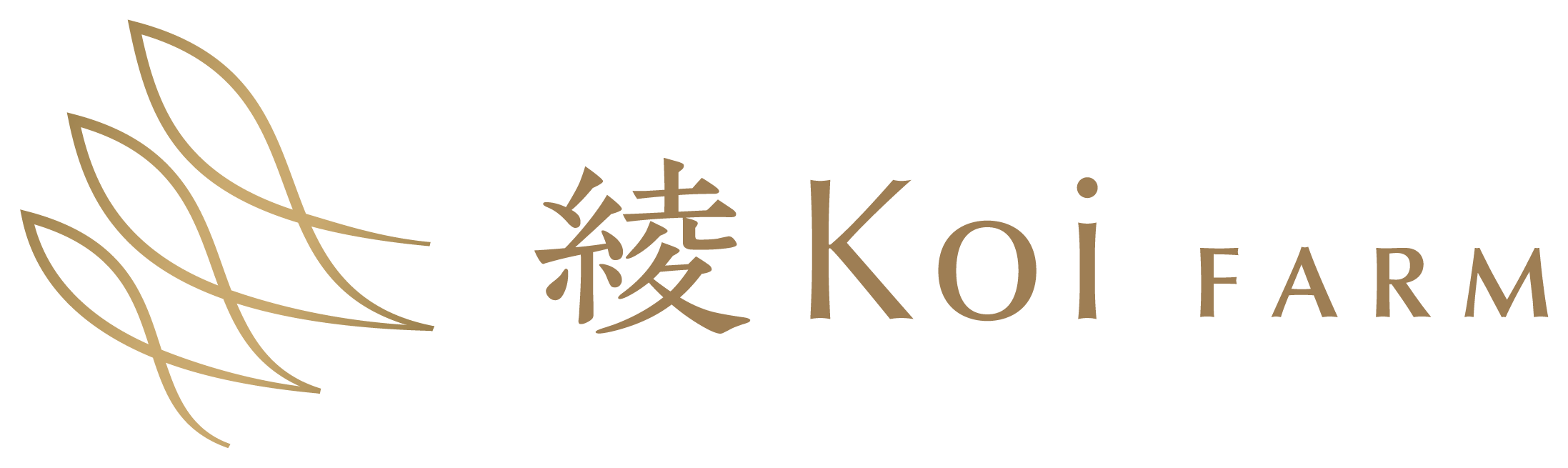 Ӹ䡦  Ż  |  Koiե | AYA KOI FARM ʵ졧ܸ