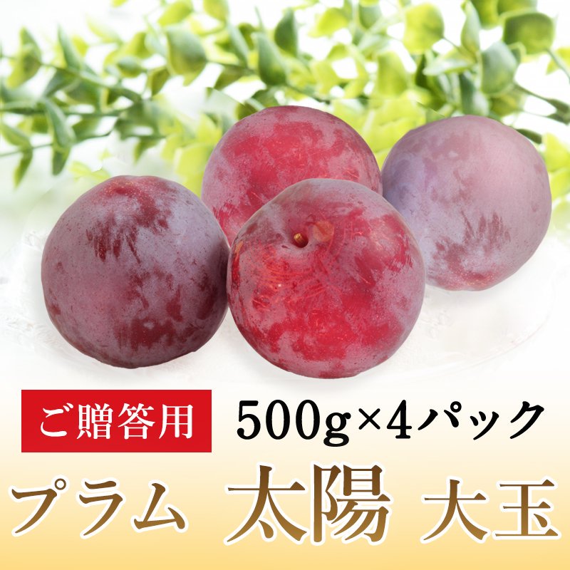 ご贈答用】プラム定期便2回コース 大石早生＆太陽 各2kg食べ比べ | 北信州ふくふく農園