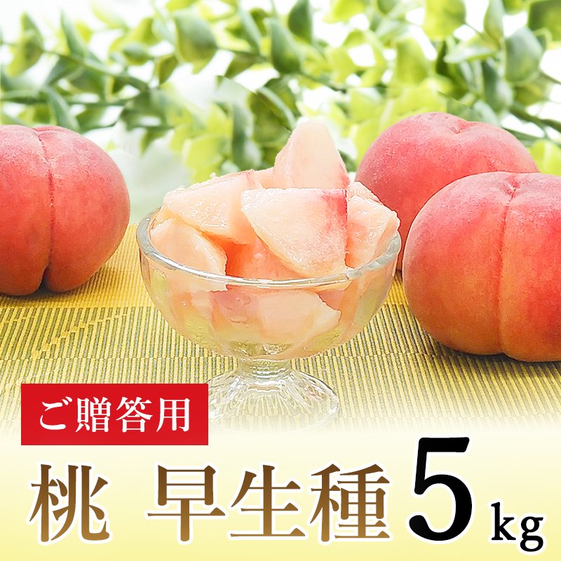 ご贈答用】桃 川中島白桃 5kg | 北信州ふくふく農園