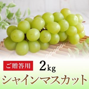 ご贈答用】ぶどう シャインマスカット 2kg | 北信州ふくふく農園