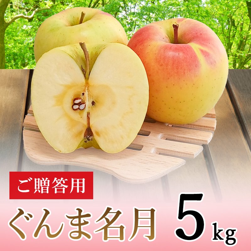 5kg　サンふじ　ご家庭用】りんご　北信州ふくふく農園