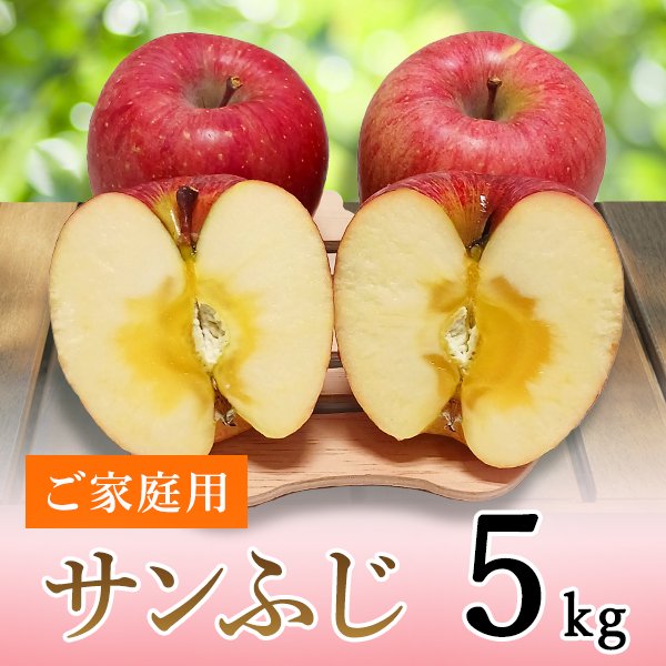 ご家庭用】りんご サンふじ 5kg | 北信州ふくふく農園