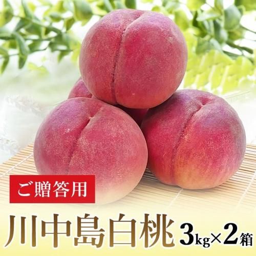 【専用出品について】 3k箱詰合わせ 2k箱詰合わせ 川中島白桃3k箱 2k箱 ご贈答用】桃 川中島白桃 3kg×2箱 | 北信州ふくふく農園