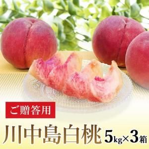 うさこさん専用　　桃　川中島　わけあり　大+中10kg うさこさん専用 桃 川中島 わけあり 大+中10kg