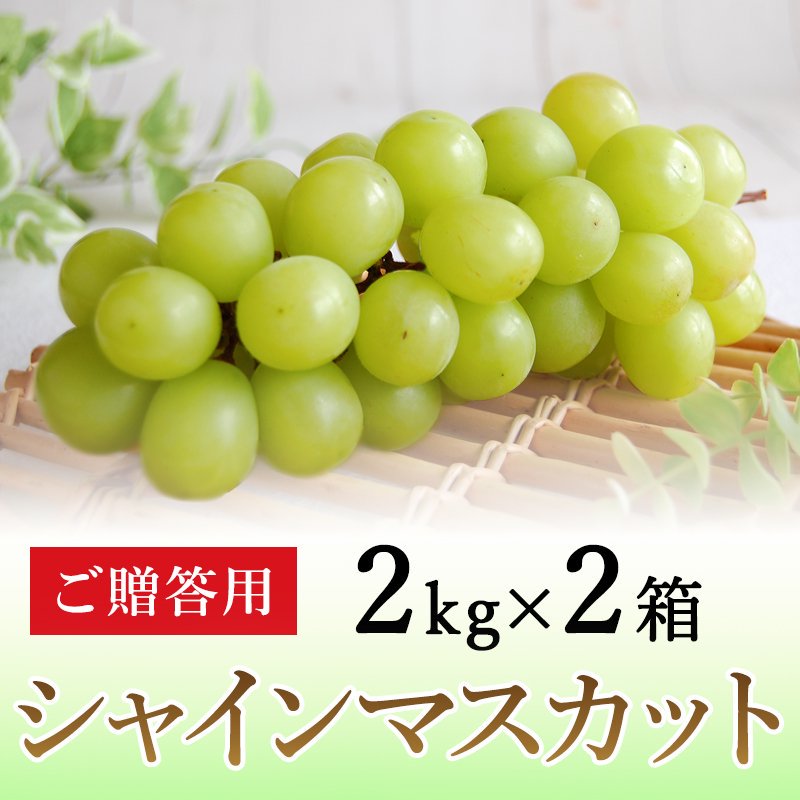 【ご贈答用】ぶどう シャインマスカット 2kg×2箱 | 北信州ふくふく農園