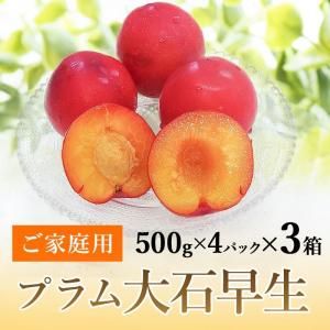 青森県産 プラム すもも 大石 8kg 箱込み 大石早生☆超定番のすももです☆彡大石早生☆超定番のすももです
