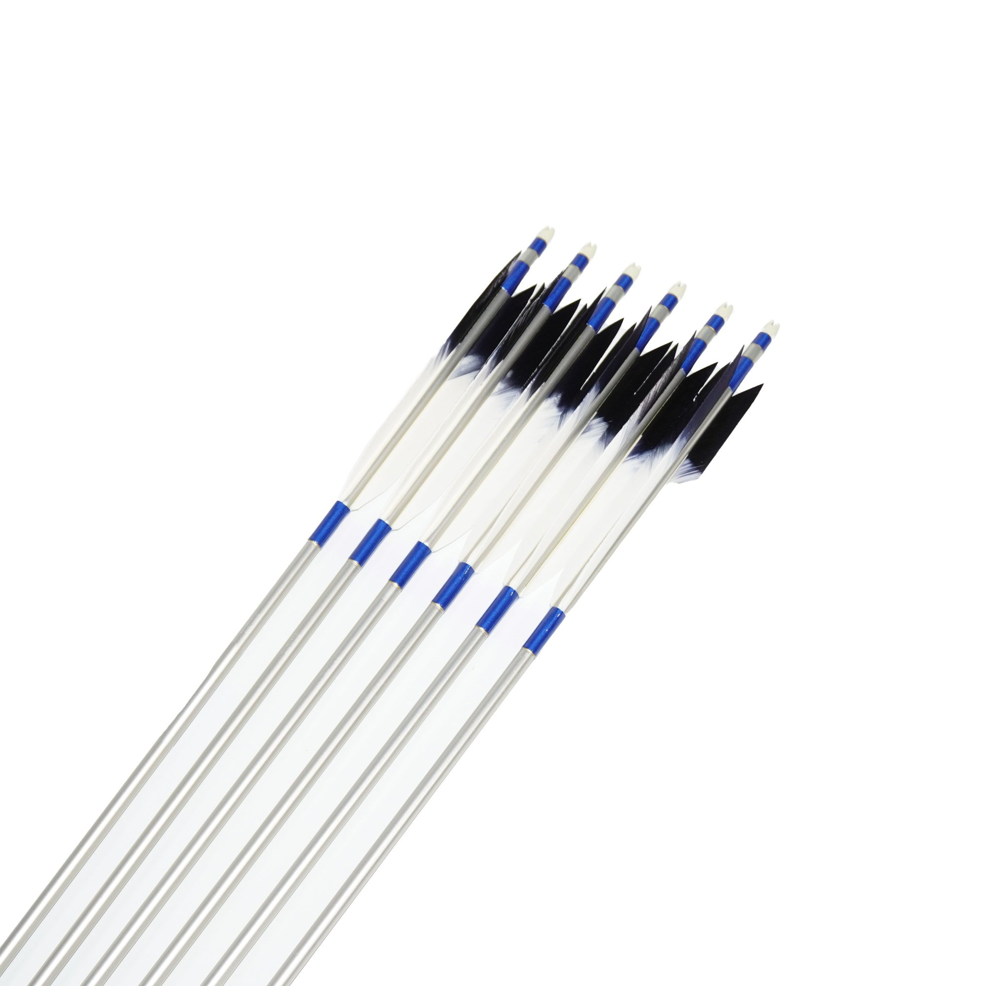 EASTON 1913  TKD-8950 ƻ1