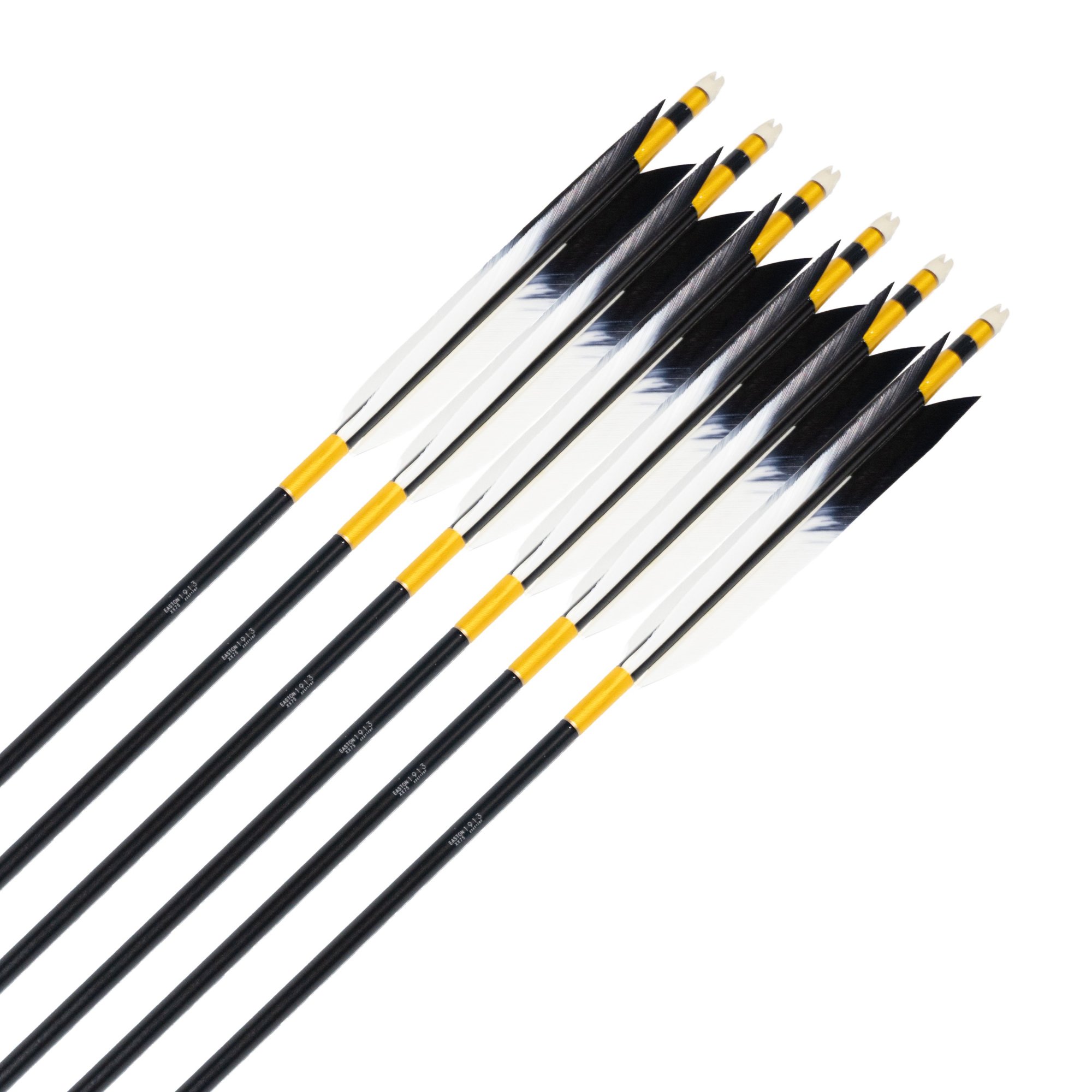 EASTON 1913  TKD-0852 ƻ1