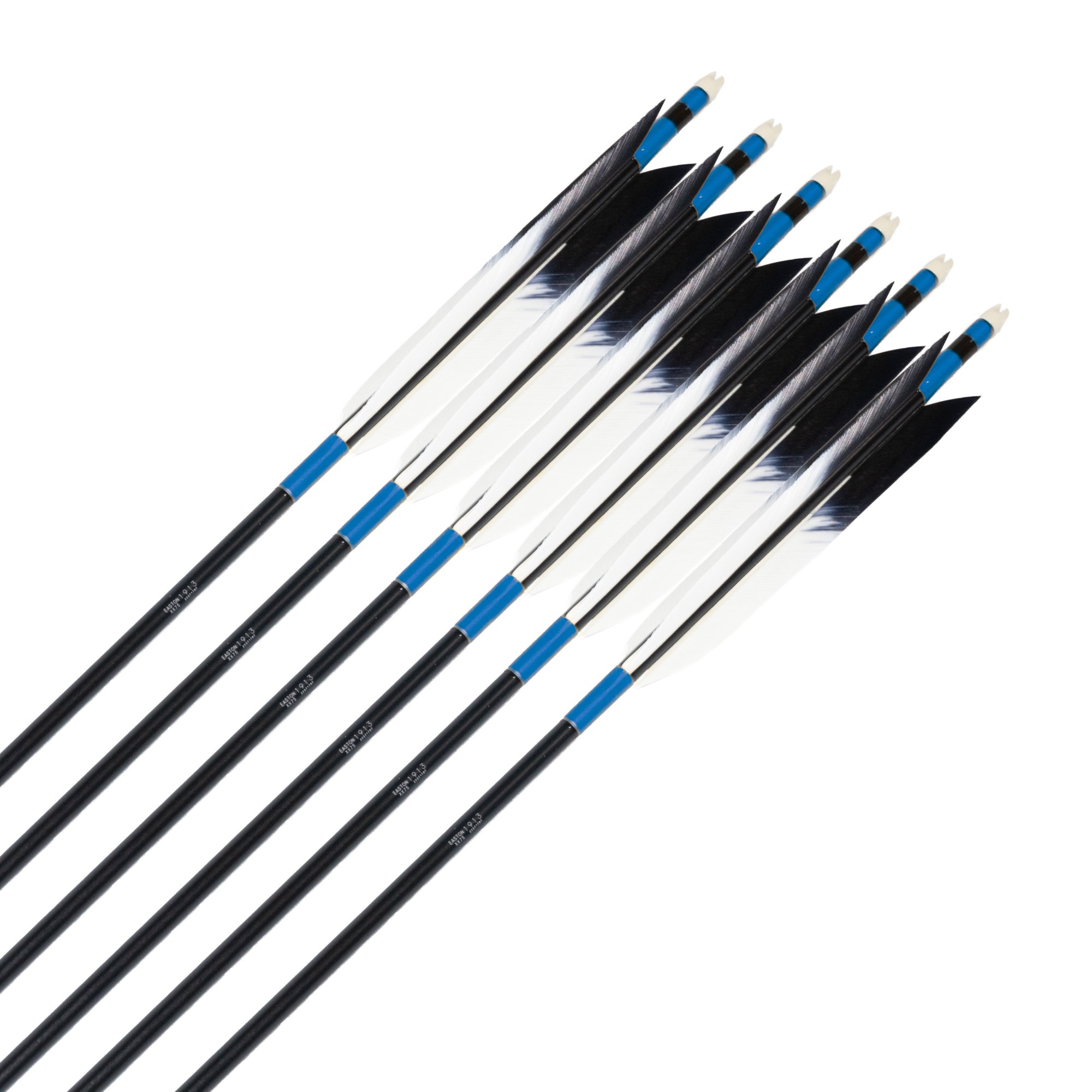 EASTON 1913  TKD-9047 ƻ1