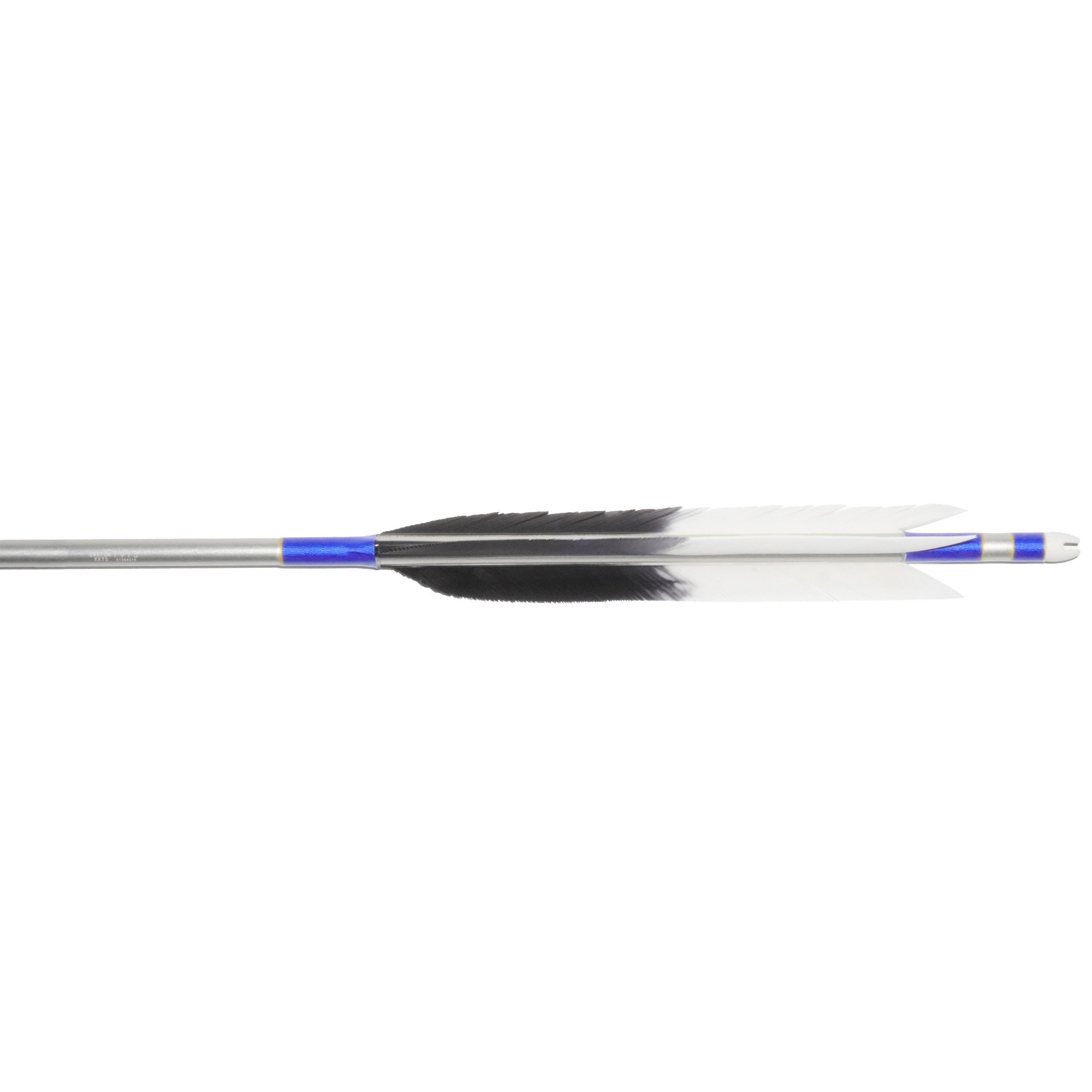 EASTON 1913  TKD-2720 ƻ3