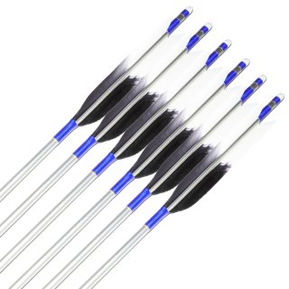 EASTON 1913  TKD-2720ξʲ