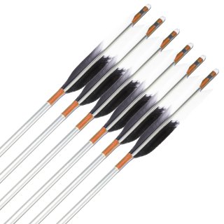 EASTON 1913  TKD-2252ξʲ